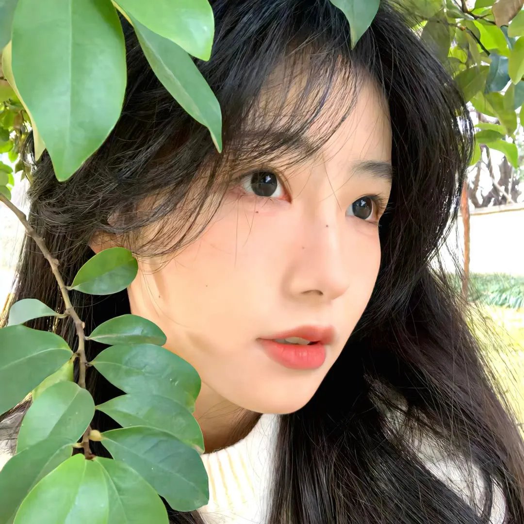 美女总裁爱上我