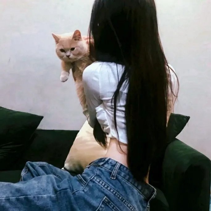 木府风云